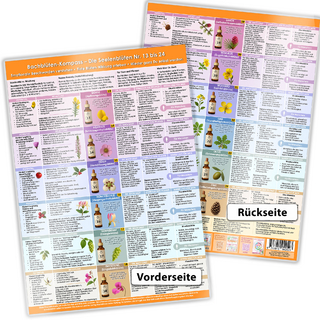 Bachblüten-Kompass Teil 2 – Die Seelenblüten Nr. 13 bis 24