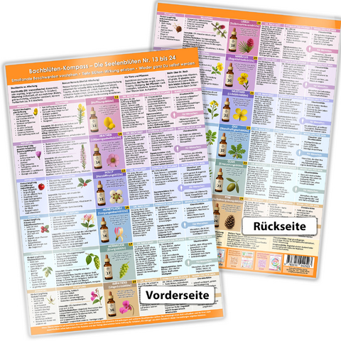 Bachbl&uuml;ten-Kompass Teil 2 &ndash; Die Seelenbl&uuml;ten Nr. 13 bis 24 - Samuel Cremer, May Lynn Rose