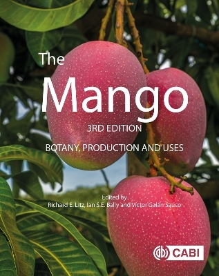 The Mango - 