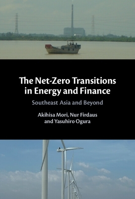 The Net-Zero Transitions in Energy and Finance