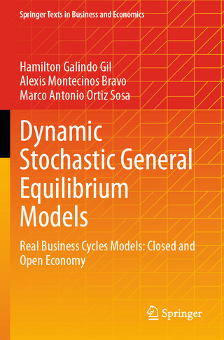 Dynamic Stochastic General Equilibrium Models