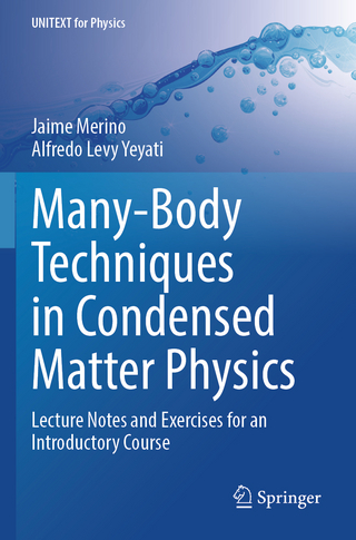 Many-Body Techniques in Condensed Matter Physics