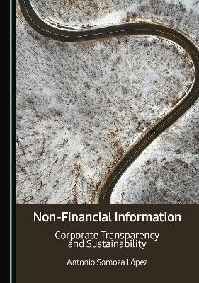 Non-Financial Information - Antonio Somoza L&oacute;pez