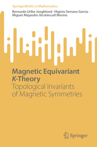 Magnetic Equivariant K-Theory