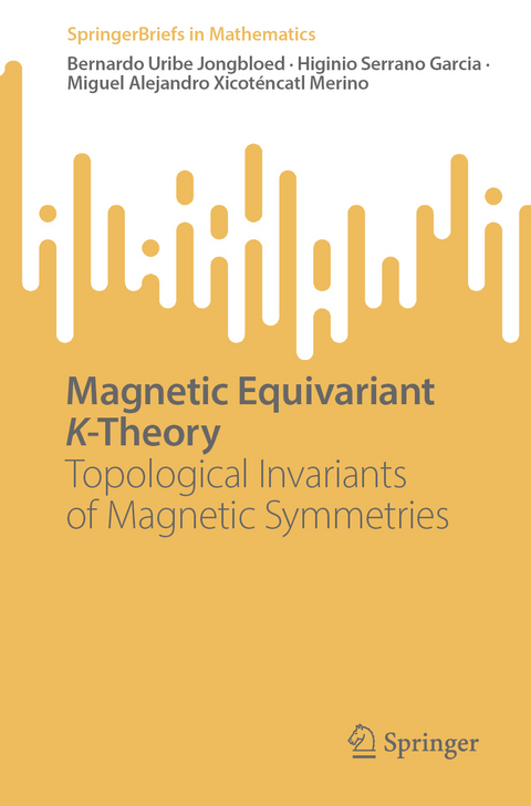 Magnetic Equivariant K-Theory - Bernardo Uribe Jongbloed, Higinio Serrano Garcia, Miguel Alejandro Xicot&eacute;ncatl Merino