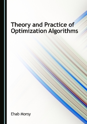 Theory and Practice of Optimization Algorithms