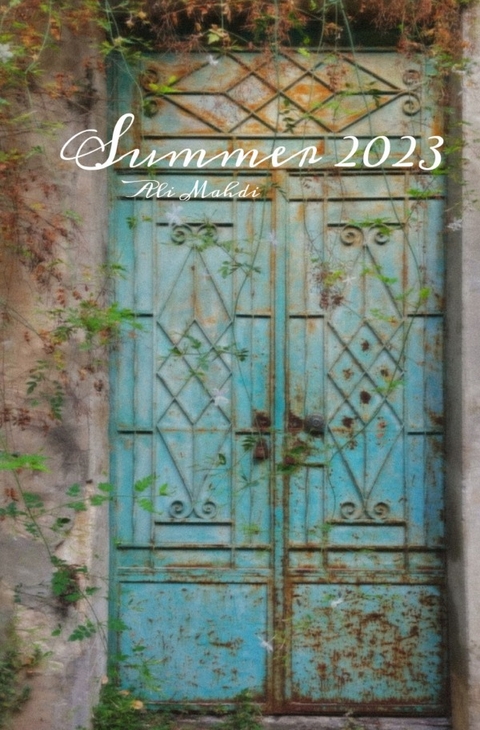 Summer 2023 - Ali Mahdi
