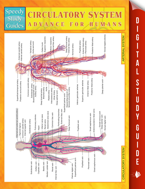 Circulatory System Advanced For Humans - Speedy Publishing