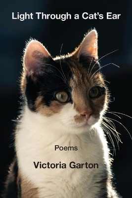 Light Through a Cat's Ear - Victoria Garton