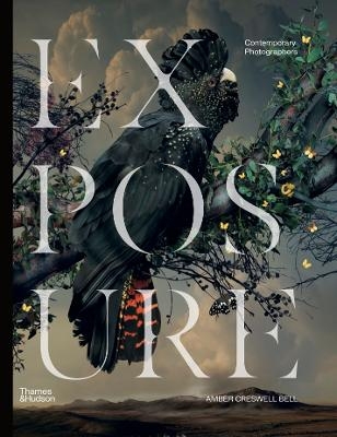 Exposure - Amber Creswell Bell