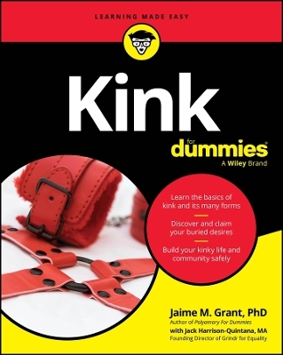 Kink For Dummies - Jaime M. Grant, Jack Harrison-Quintana