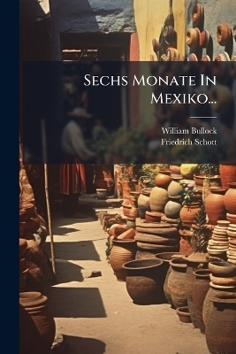 Sechs Monate In Mexiko...