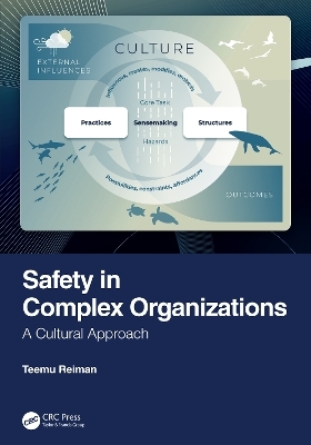 Safety in Complex Organizations - Teemu Reiman