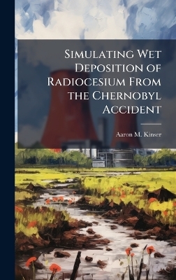 Simulating Wet Deposition of Radiocesium From the Chernobyl Accident
