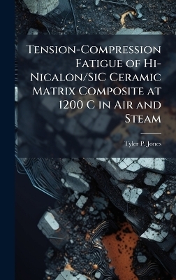 Tension-Compression Fatigue of Hi-Nicalon/SiC Ceramic Matrix Composite at 1200 C in Air and Steam - Tyler P Jones