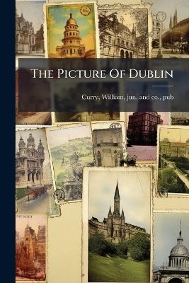The Picture Of Dublin