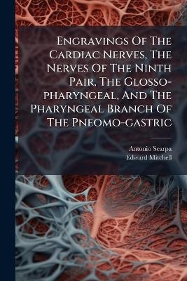 Engravings Of The Cardiac Nerves, The Nerves Of The Ninth Pair, The Glosso-pharyngeal, And The Pharyngeal Branch Of The Pneomo-gastric