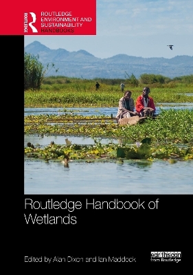 Routledge Handbook of Wetlands - 