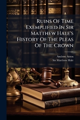 Ruins Of Time Exemplified In Sir Matthew Hale's History Of The Pleas Of The Crown - Andrew Amos
