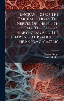 Engravings Of The Cardiac Nerves, The Nerves Of The Ninth Pair, The Glosso-pharyngeal, And The Pharyngeal Branch Of The Pneomo-gastric - Antonio Scarpa, Edward Mitchell