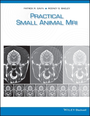 Small Animal MRI - 