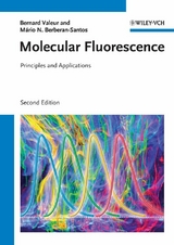 Molecular Fluorescence - Bernard Valeur, M&aacute;rio Nuno Berberan-Santos