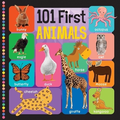 101 First Animals -  Flowerpot Press