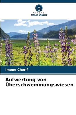 Aufwertung von Überschwemmungswiesen