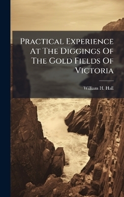 Practical Experience At The Diggings Of The Gold Fields Of Victoria