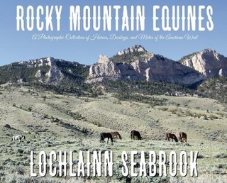Rocky Mountain Equines