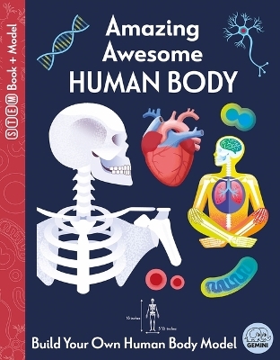 Amazing Awesome Human Body - Susan Mayes