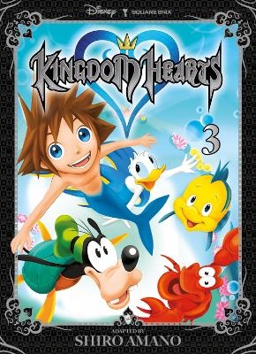 Kingdom Hearts Volume 3 - Shiro Amano