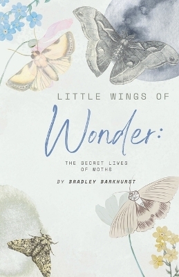 Little Wings of Wonder