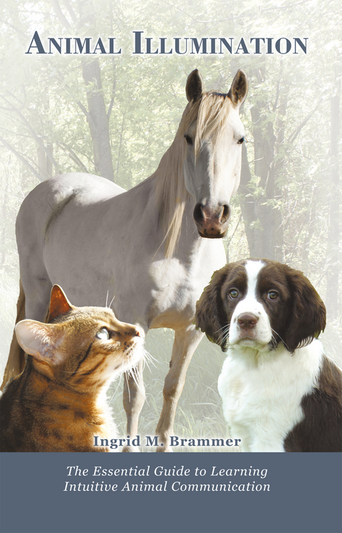 Animal Illumination - Ingrid M Brammer