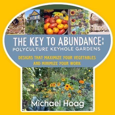 The Key to Abundance - Michael Hoag