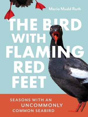The Bird with Flaming Red Feet - Maria Ruth