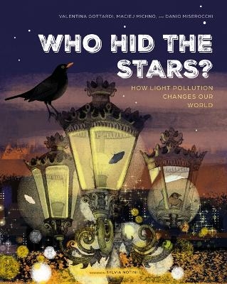 Who Hid the Stars? - Danio Miserocchi, Maciej Michno