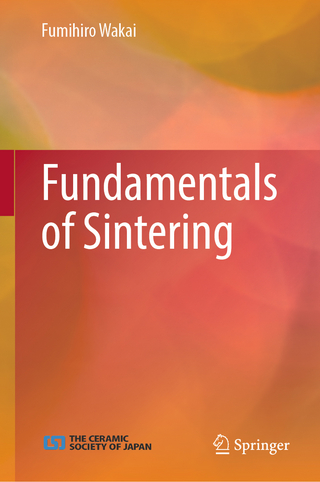Fundamentals of Sintering