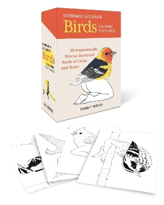 Extremely Accurate Birds Coloring Postcards - Tommy Siegel