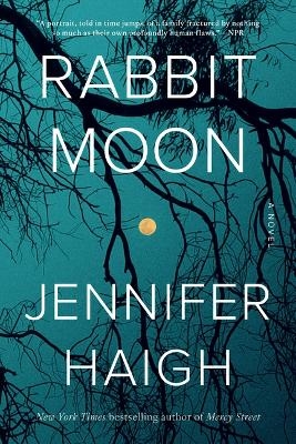 Rabbit Moon - Jennifer Haigh
