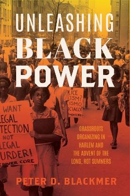 Unleashing Black Power - Peter D. Blackmer