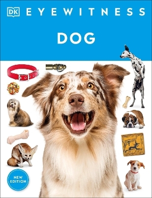 Eyewitness Dog -  Dk