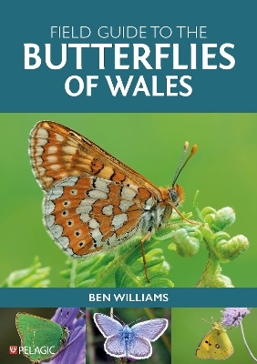 Field Guide to the Butterflies of Wales - Ben Williams