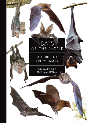 Bats of the World - Winifred Frick, M. Teague O'Mara
