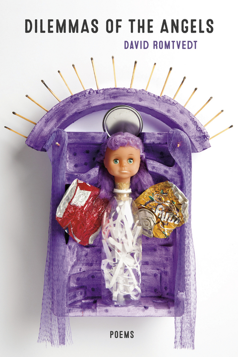 Dilemmas of the Angels - David Romtvedt