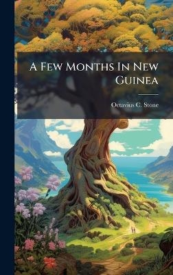 A Few Months In New Guinea - Octavius C Stone