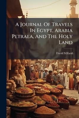 A Journal Of Travels In Egypt, Arabia Petraea, And The Holy Land