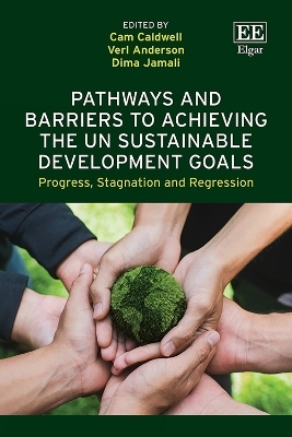 Pathways and Barriers to Achieving the UN Sustainable Development Goals - 