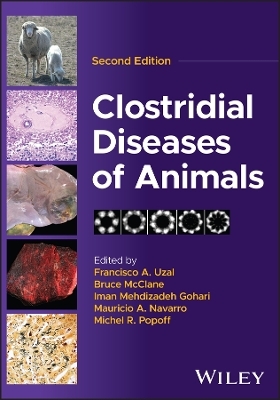 Clostridial Diseases of Animals