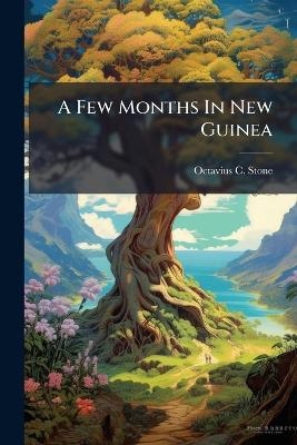 A Few Months In New Guinea - Octavius C Stone